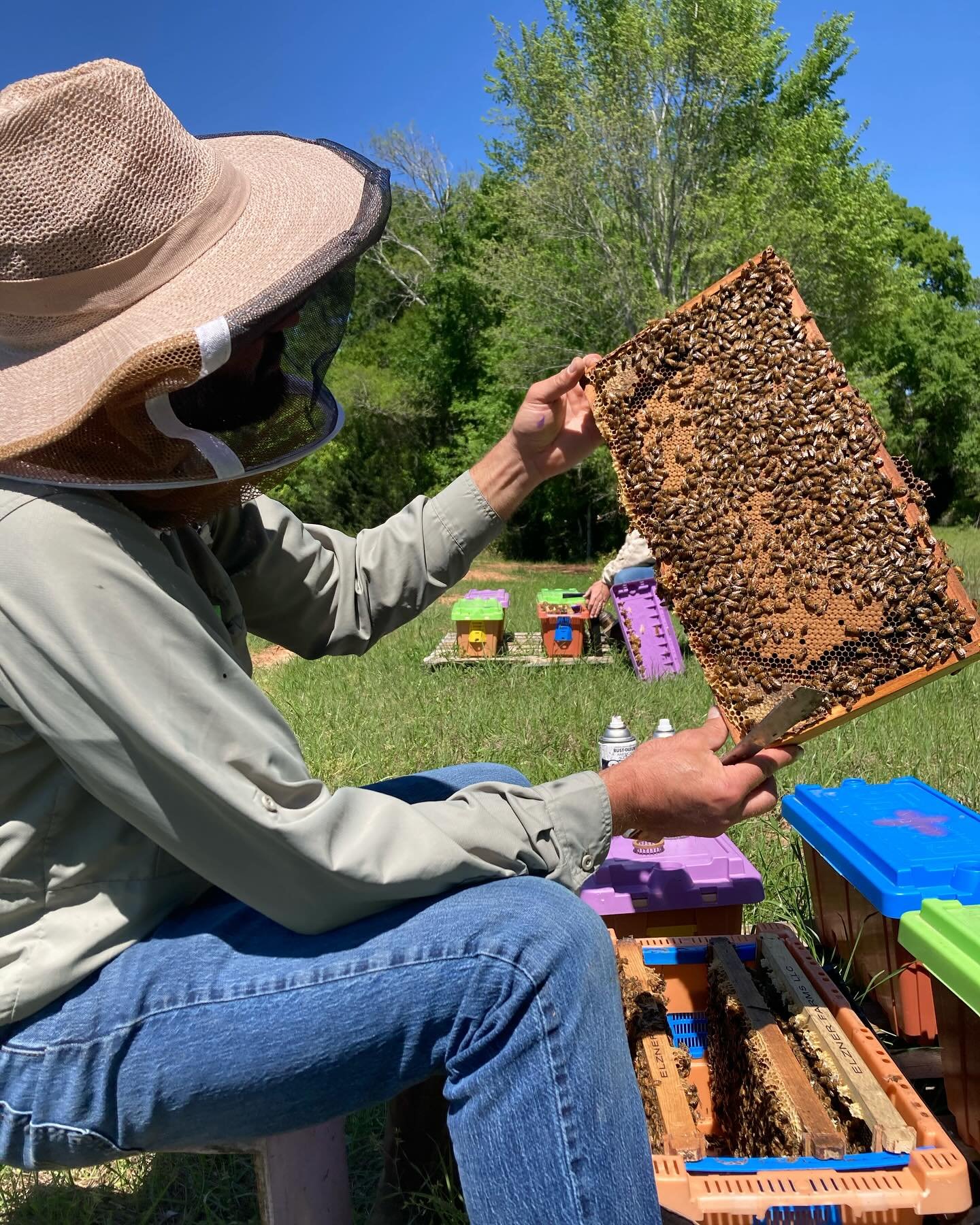 Hooray, 2025 nuc pre-orders are available on our website! 🐝 Reserve your bees for next spring at ElznerFarms.com