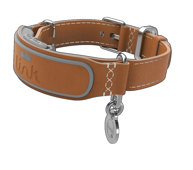 Link-AKC.png