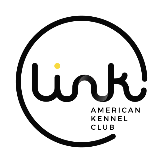Link-Logo.png
