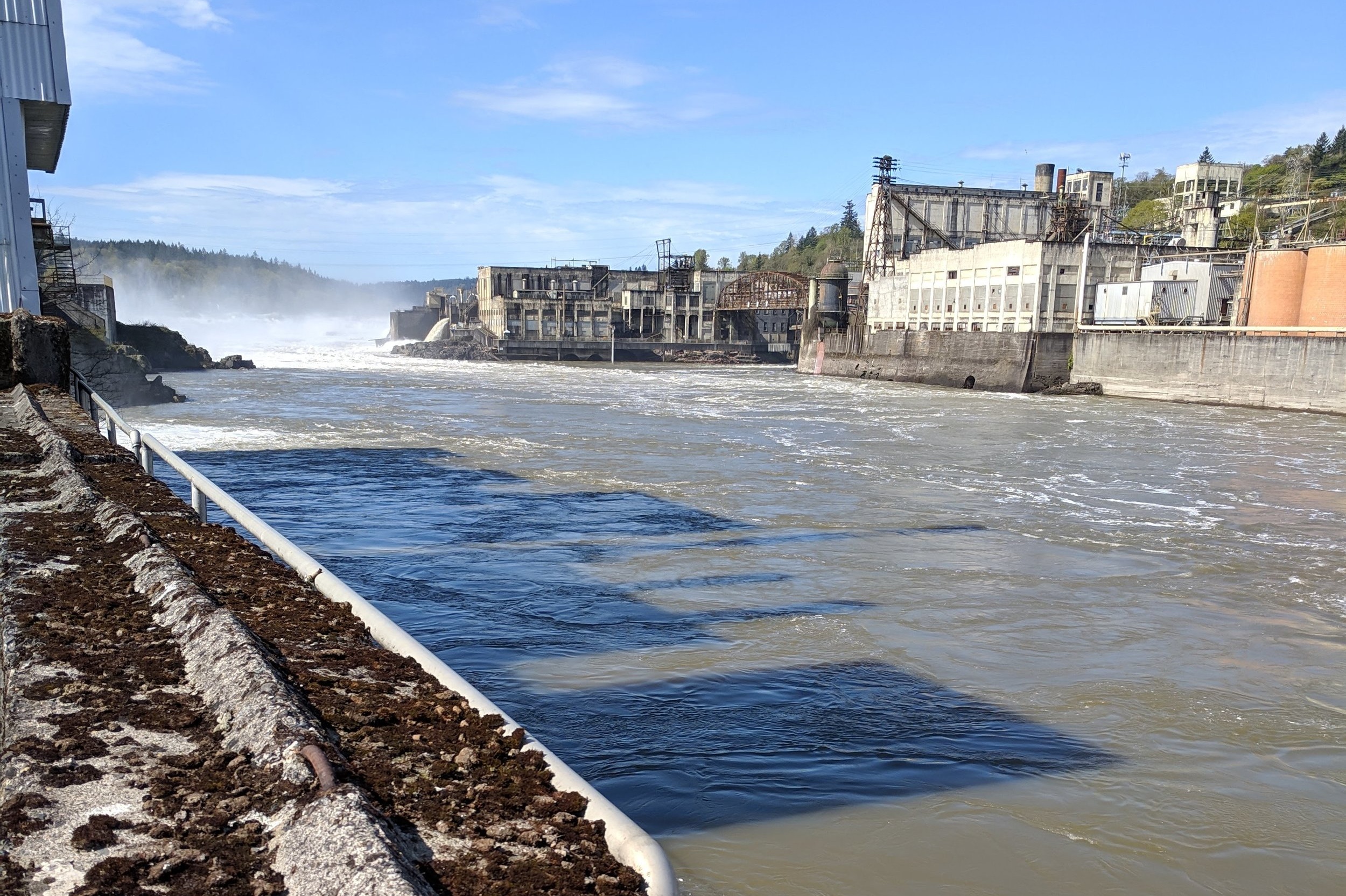 Buildings+in+the+water.jpg