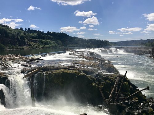 06012018_WillametteFalls_credit_WFLP.jpeg