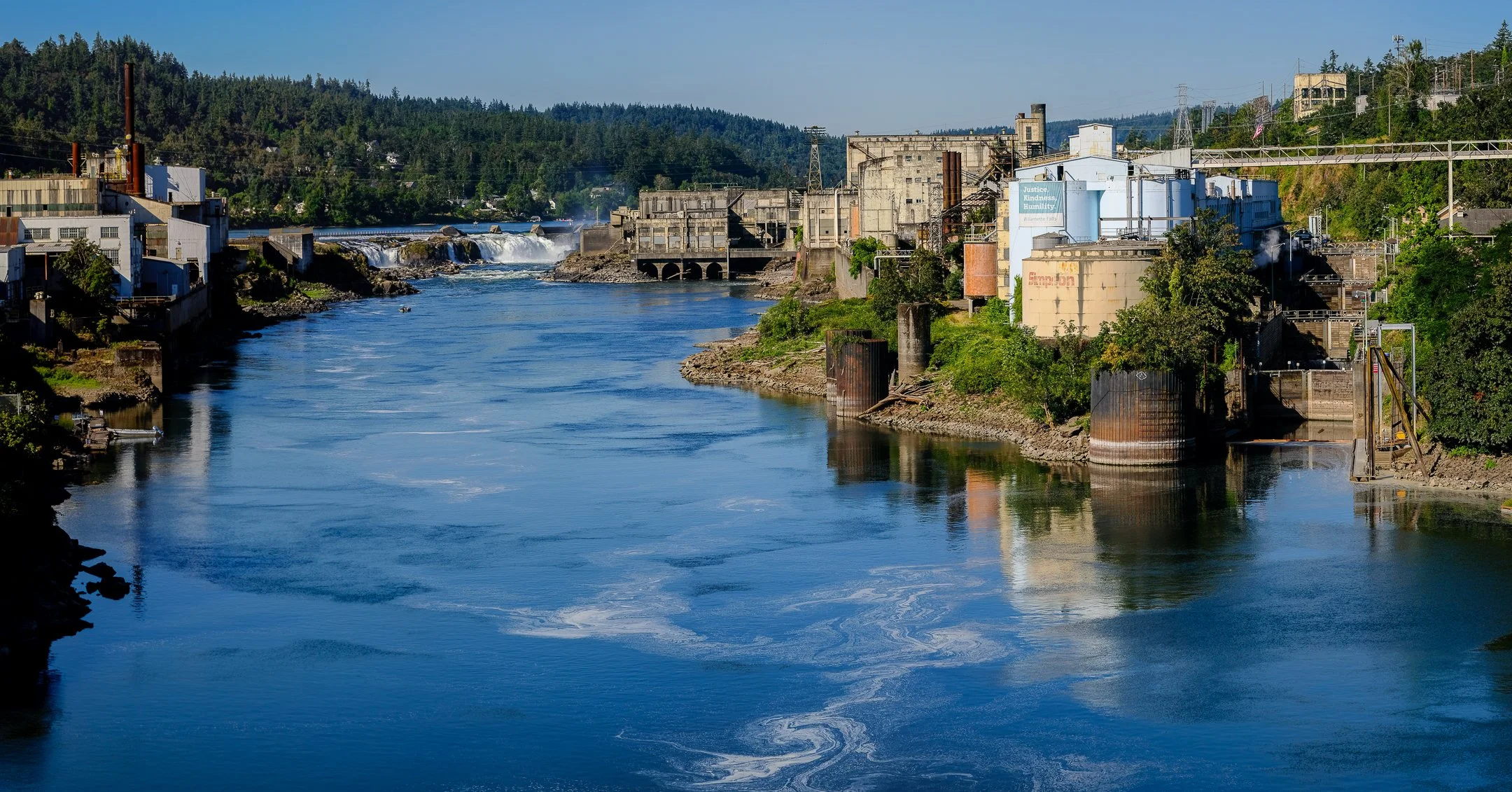 We're Hiring! - Campaign Manager