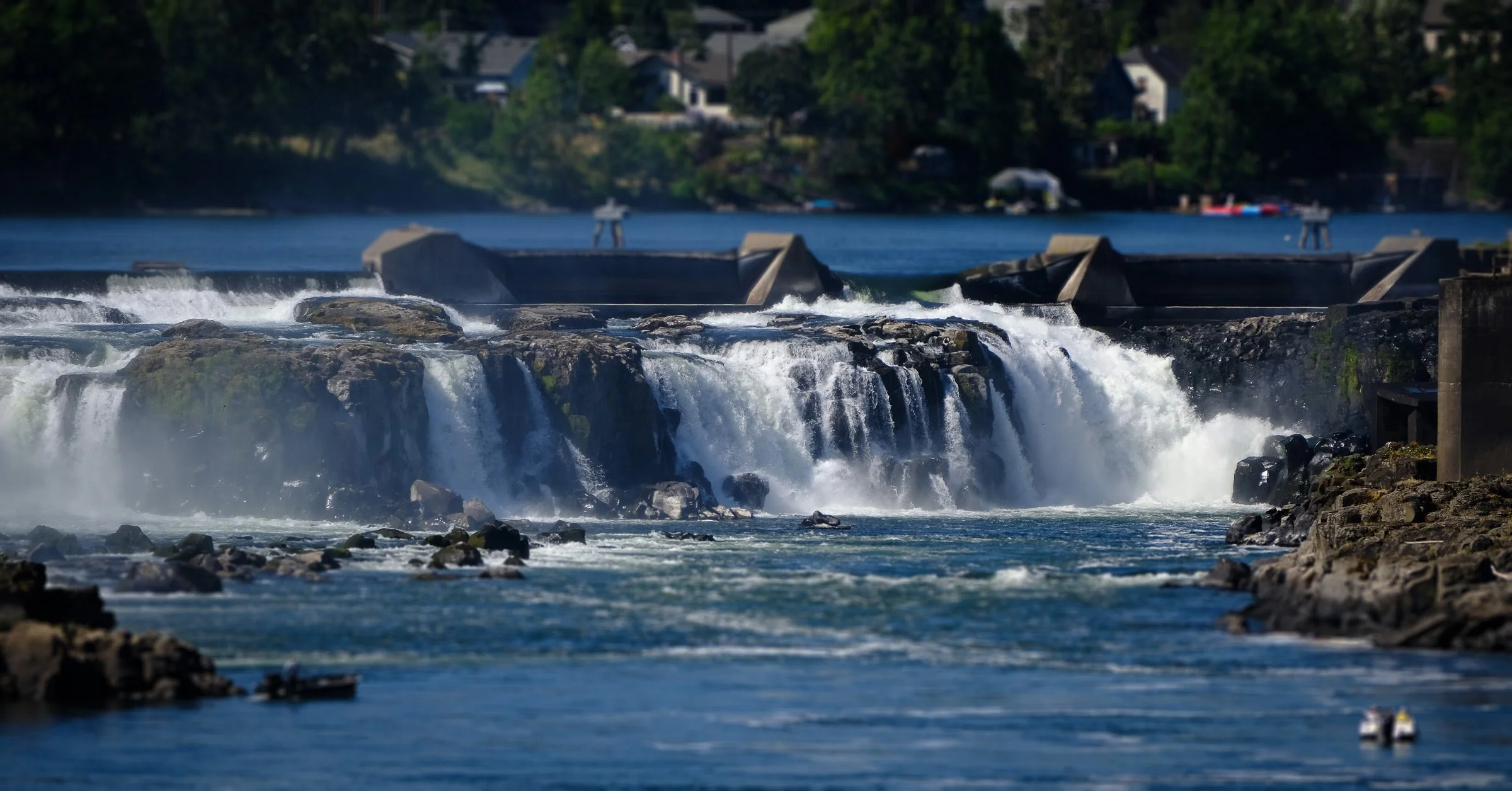 Celebrating Lamprey Harvest