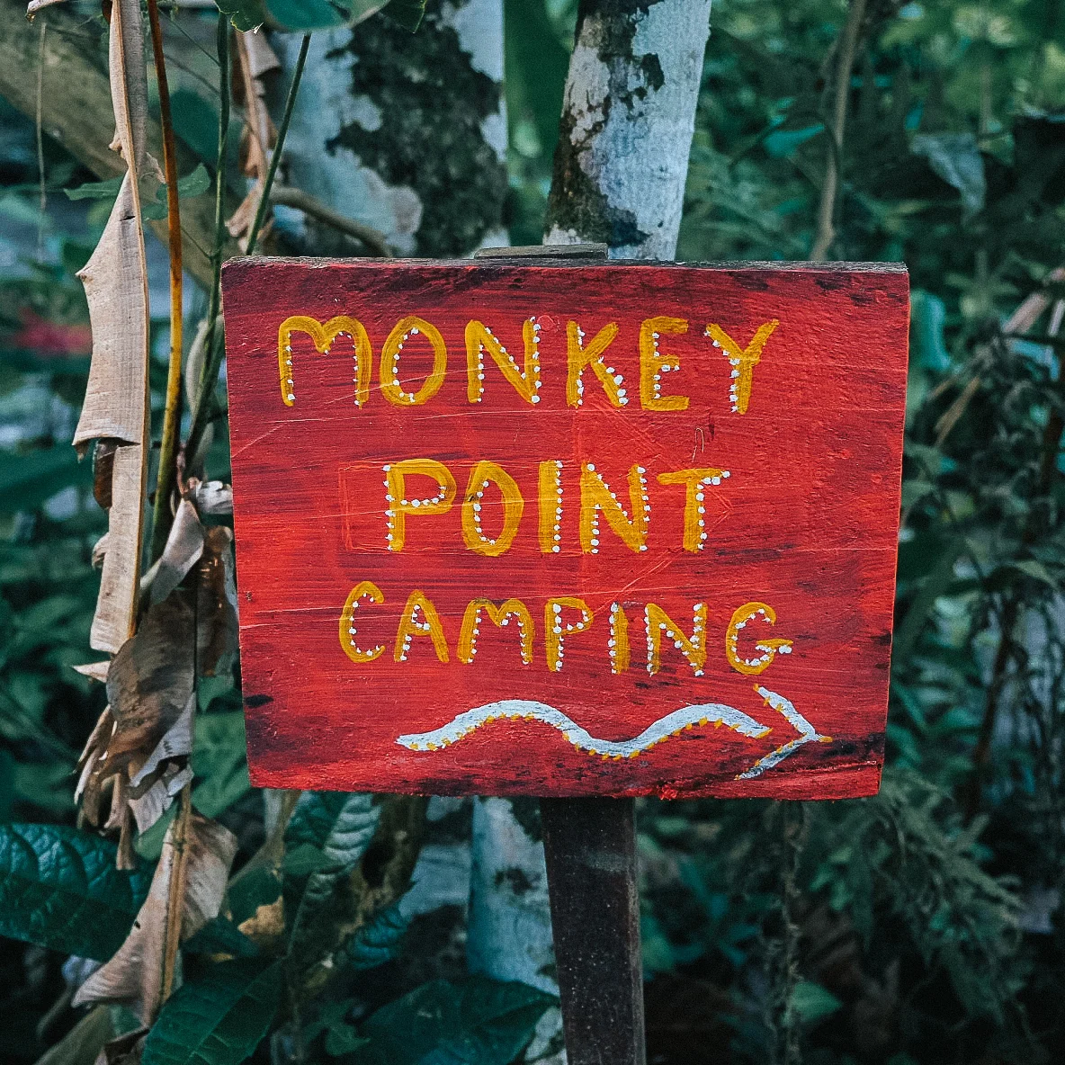 PM-camping.jpg