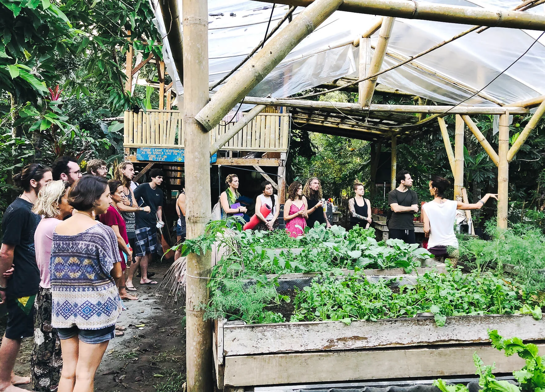 Roots-gathering-gallery16.jpg