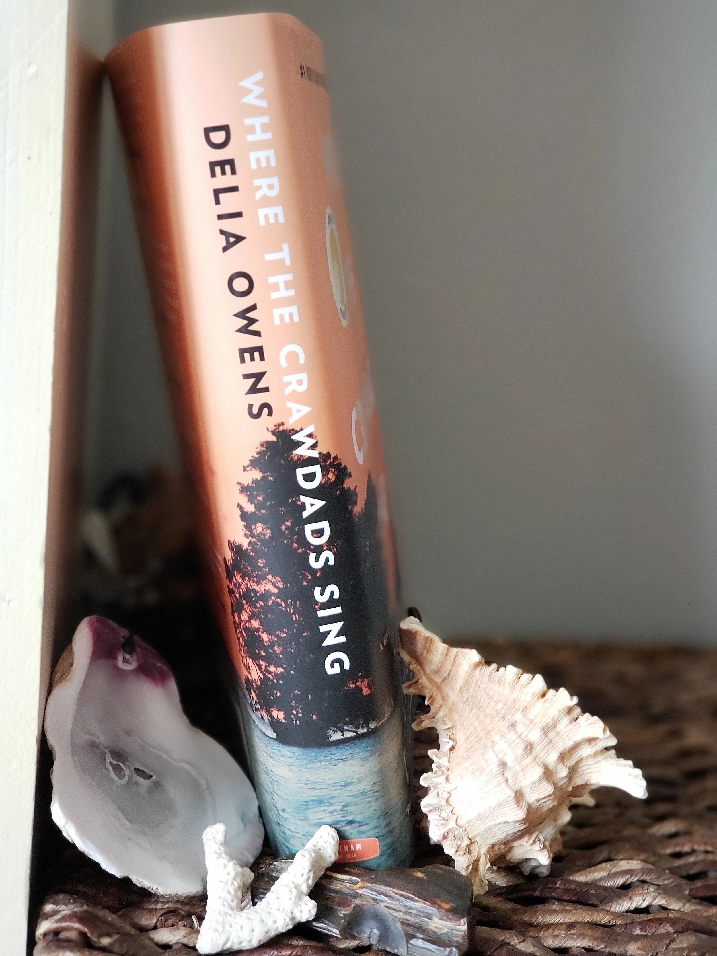Is this the last of the prose? A Book Review of Where the Crawdads Sing by Delia Owens