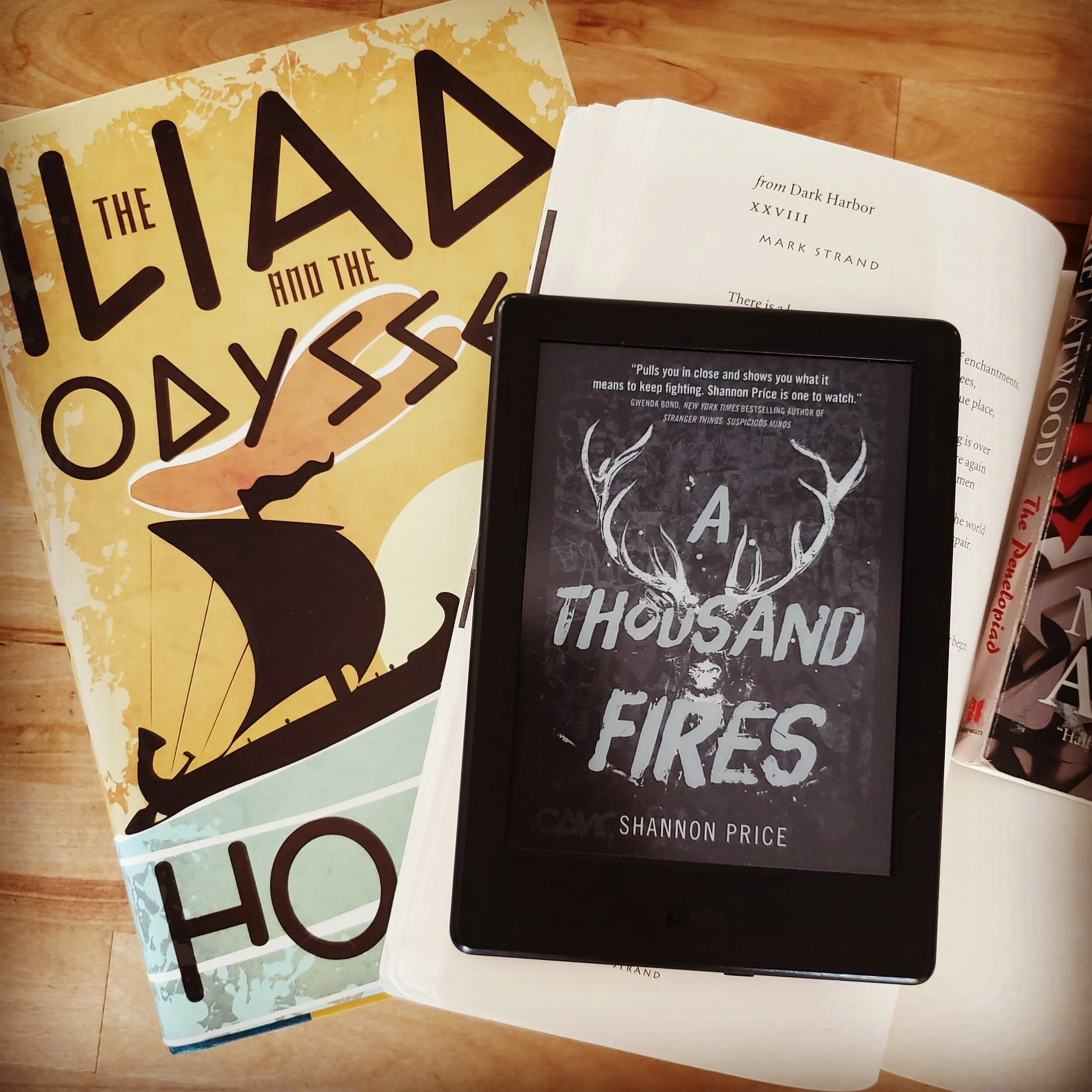 The Wars Within: A Book Review of A Thousand Fires by Shannon Price