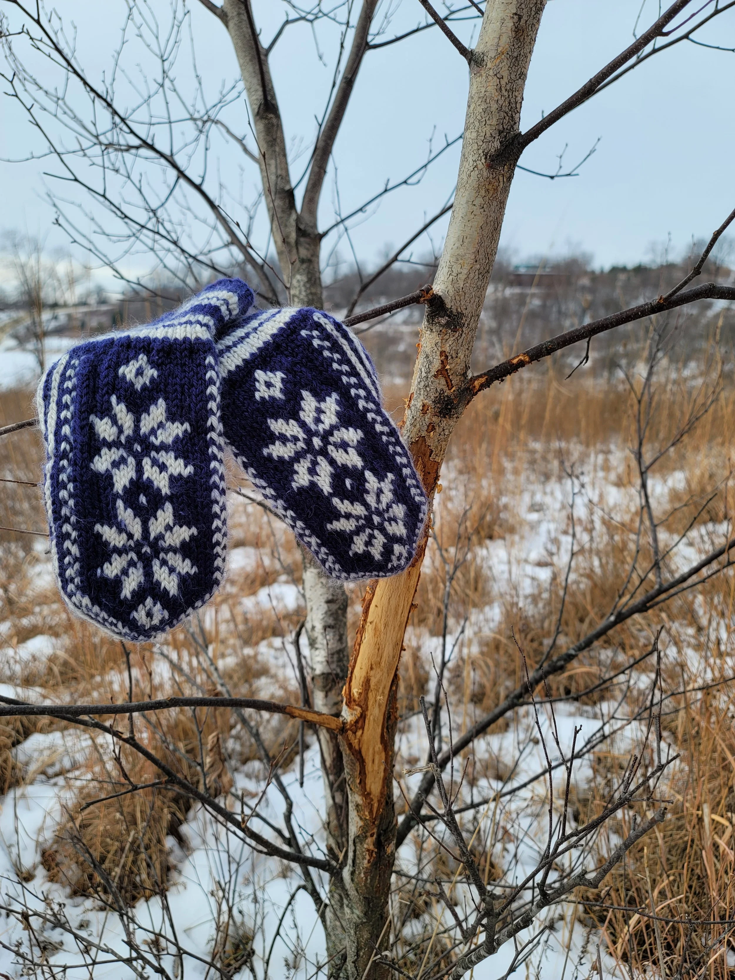 2 Lessons to Learn in 40 Days