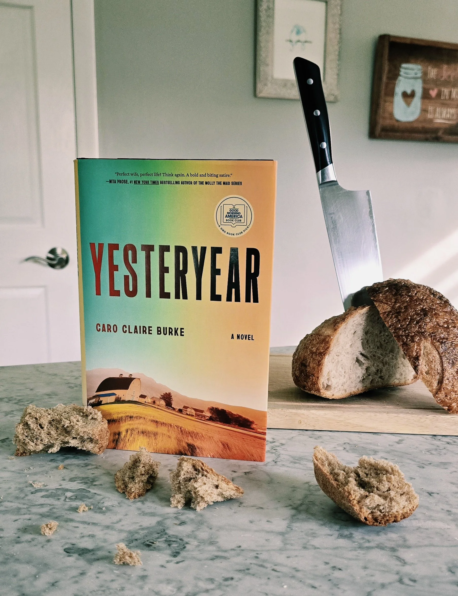 Verified Influencer: A Book Review of Yesteryear by Caro Claire Burke