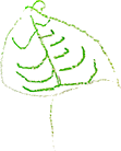 leaf.png