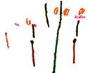 2019-01-16 16-33 1.jpeg