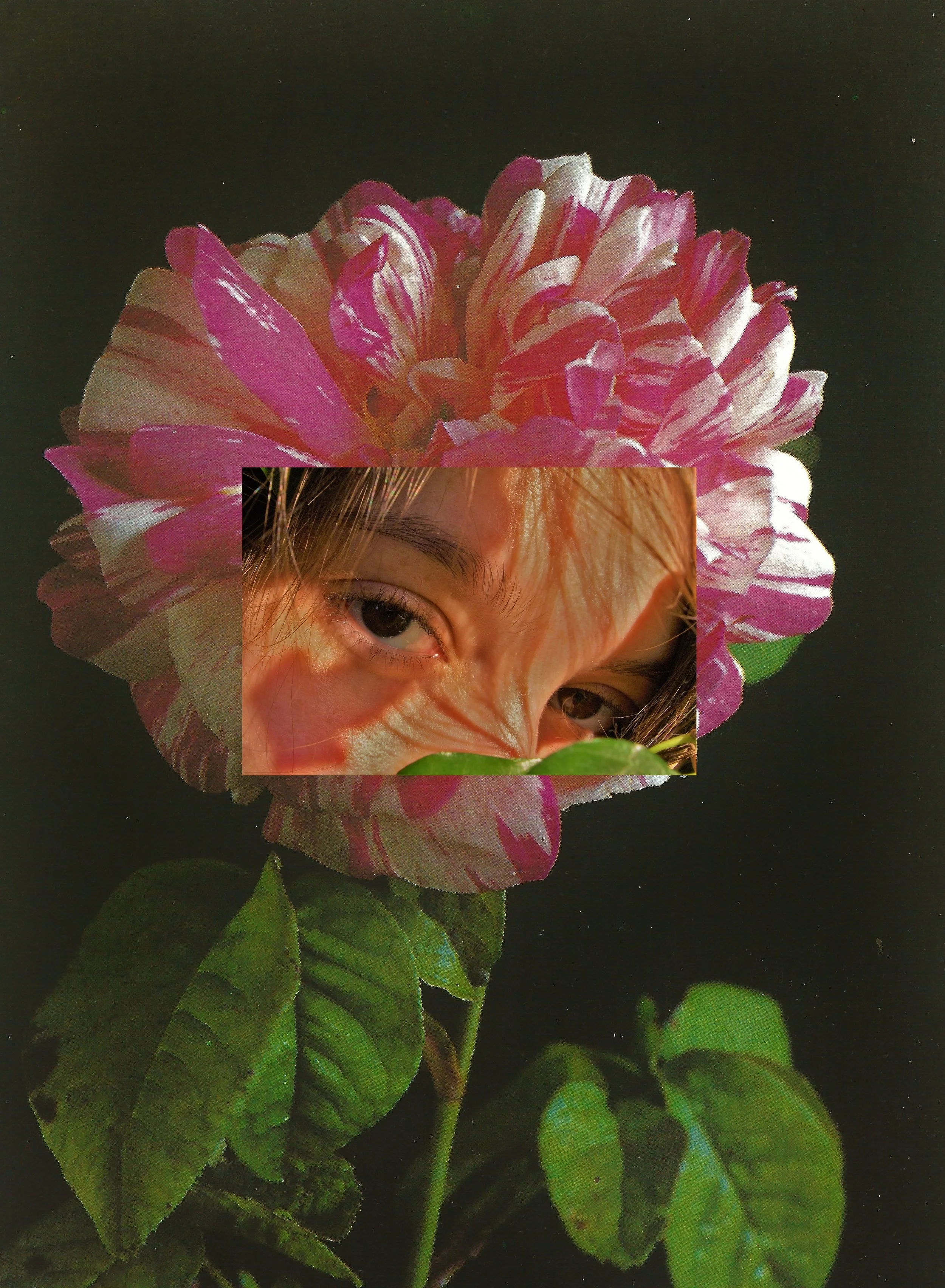 2020-03-27_142158 (4).jpg