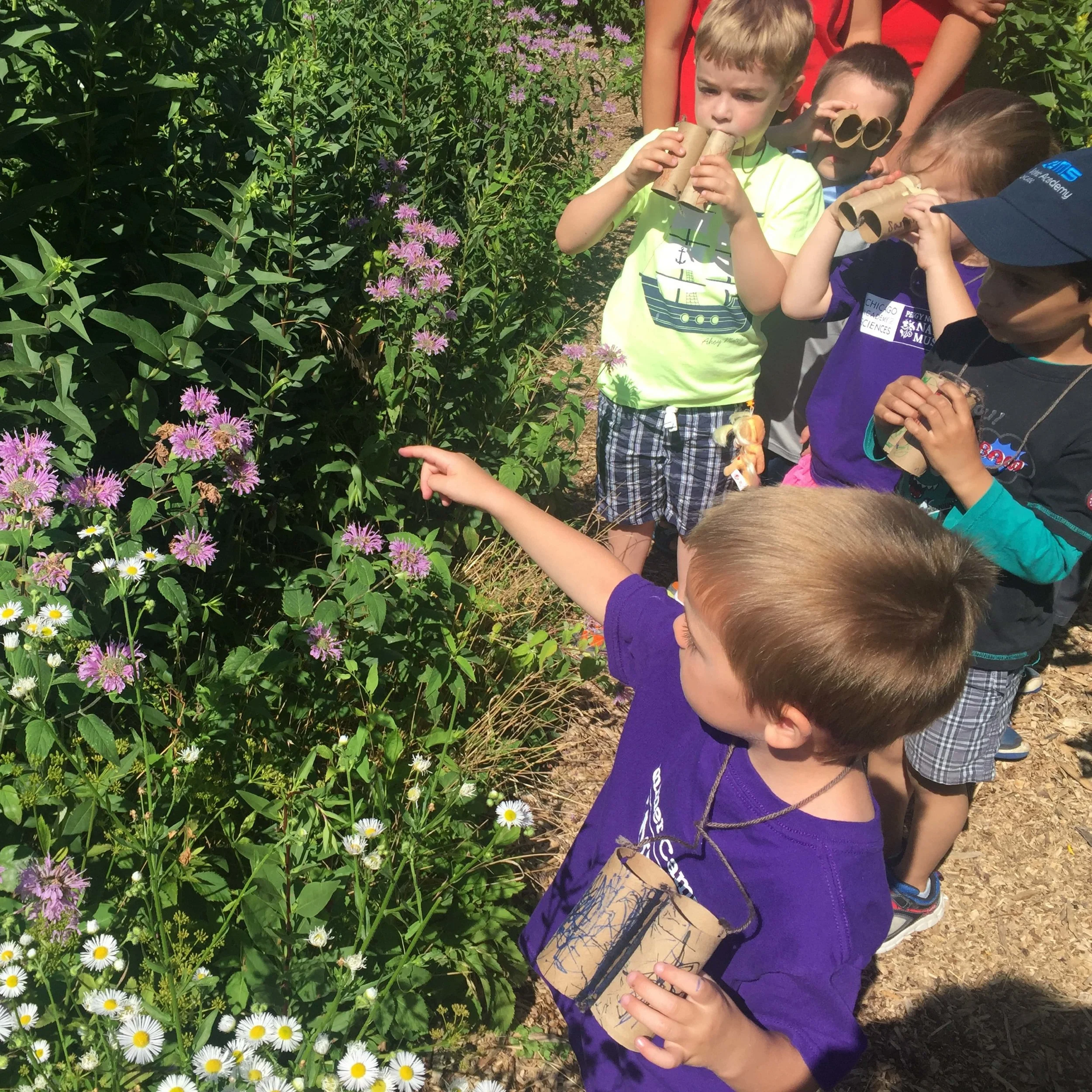 Registration — Peggy Notebaert Nature Museum Camps