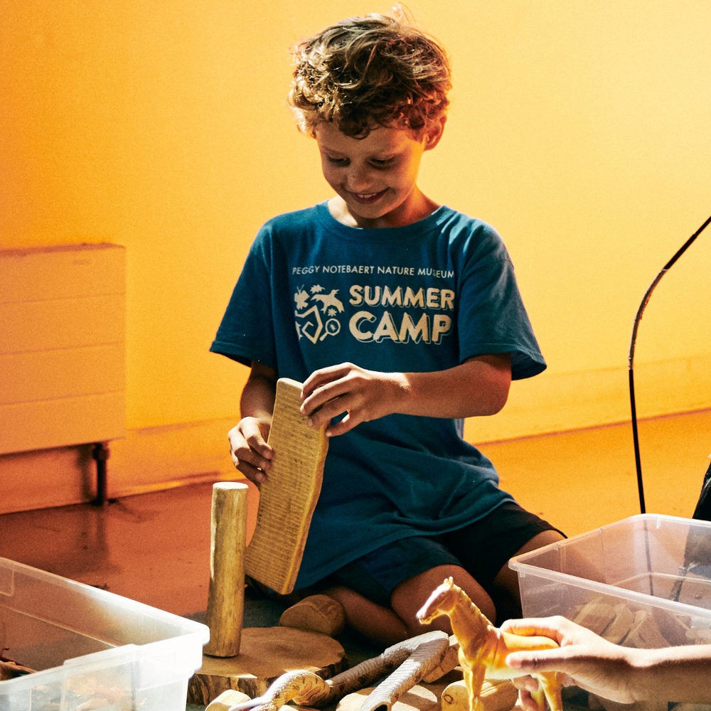 Summer Camp Peggy Notebaert Nature Museum Camps