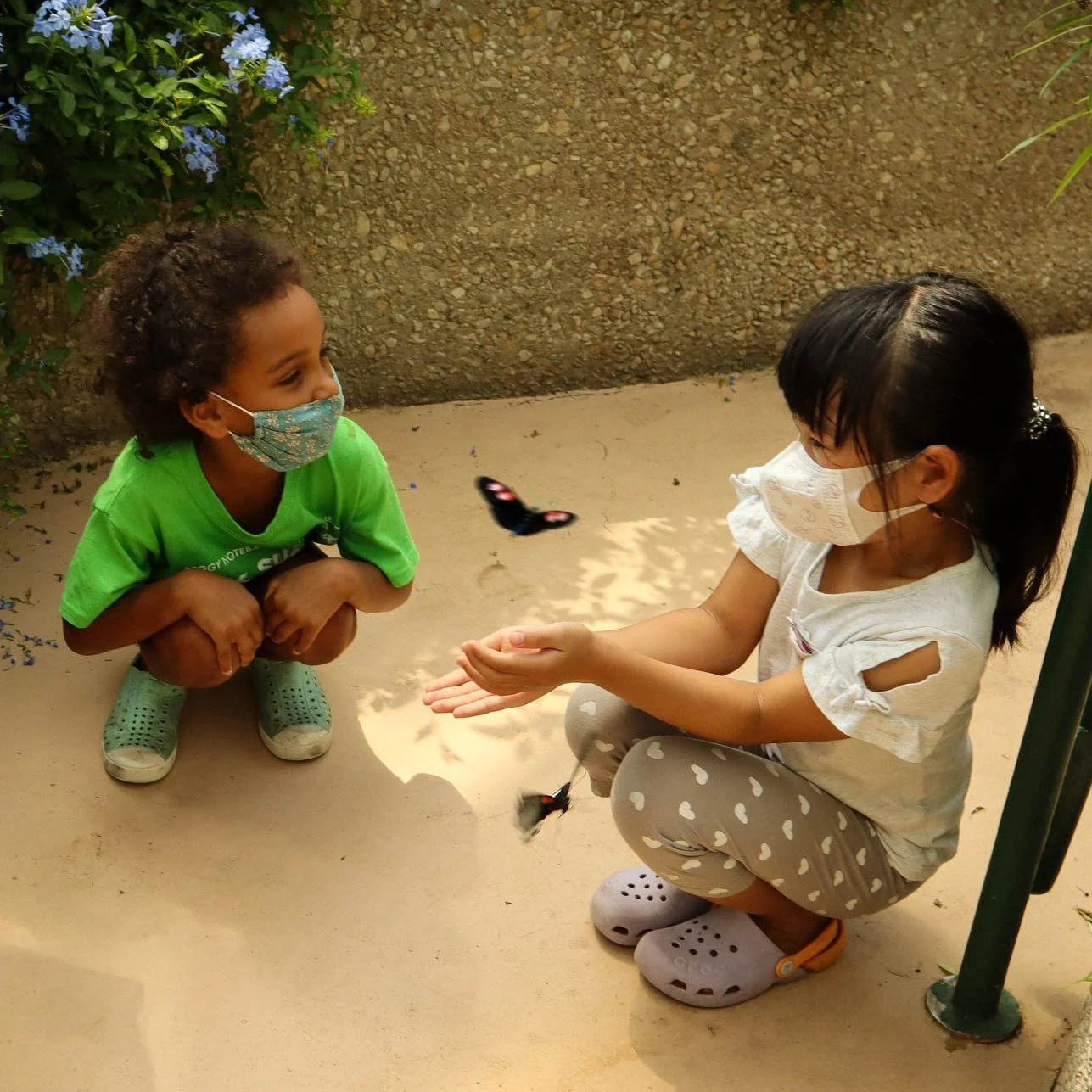 Summer Camp — Peggy Notebaert Nature Museum Camps