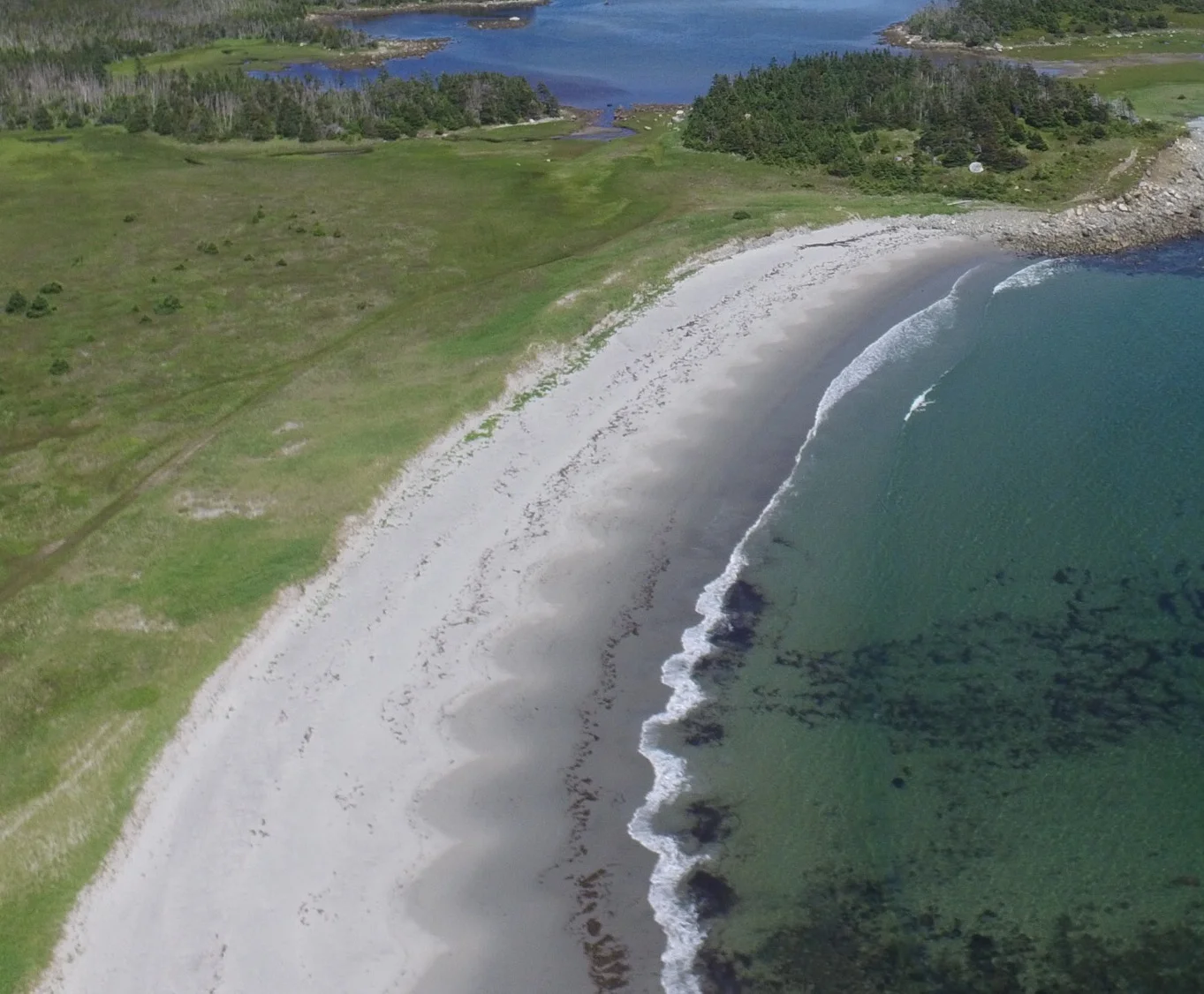 The beautiful white-sand beaches of Tor Bay Provincial Park.