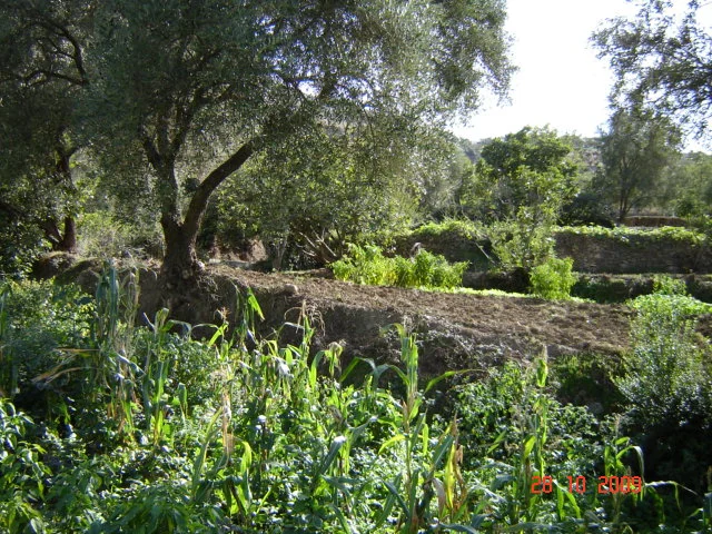 Les principales caractéristiques de l'exploitation agricole familiale au Maroc