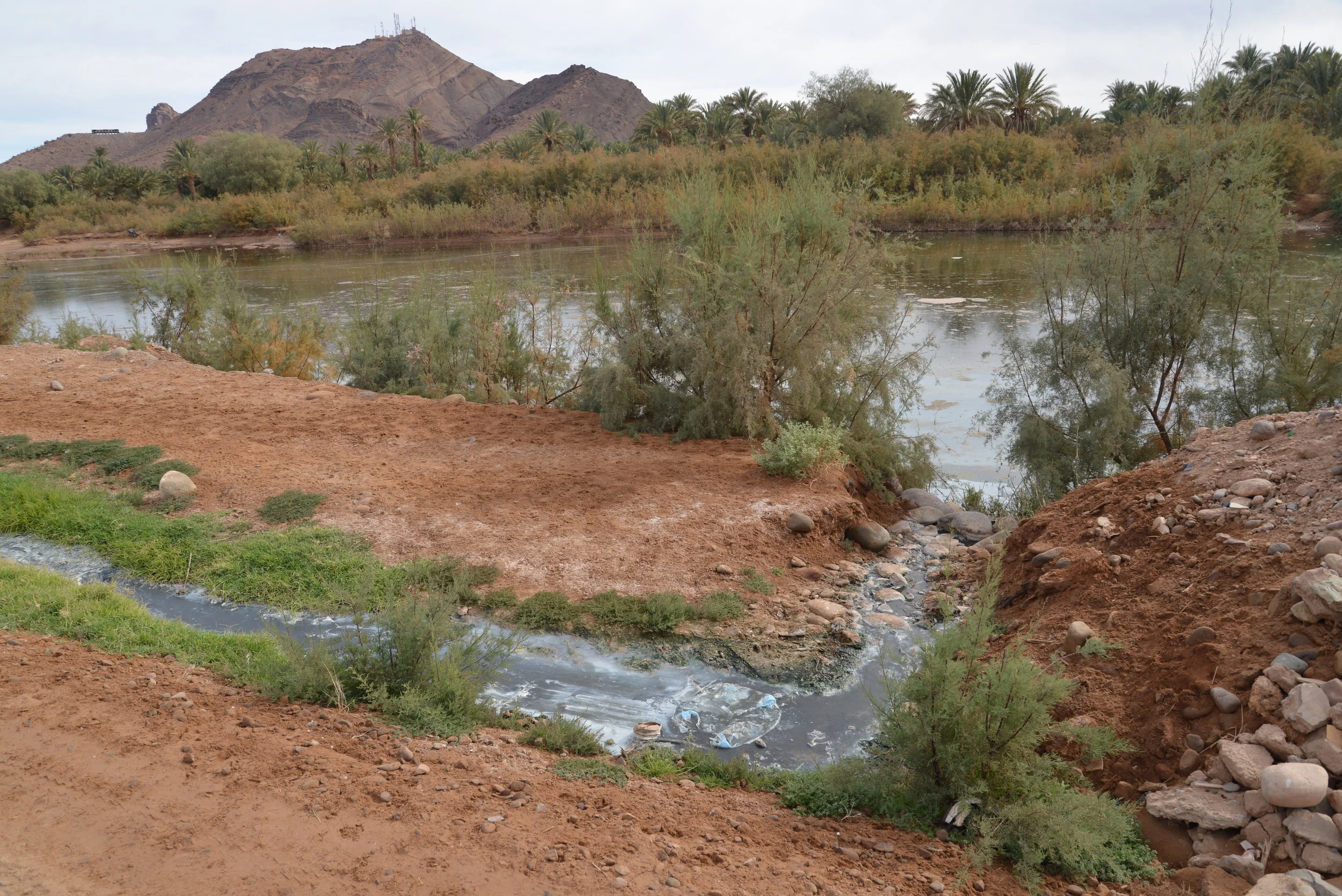 Procédure d'aide à la décision d'investissement dans le secteur de la réutilisation des eaux usées épurées en agriculture.