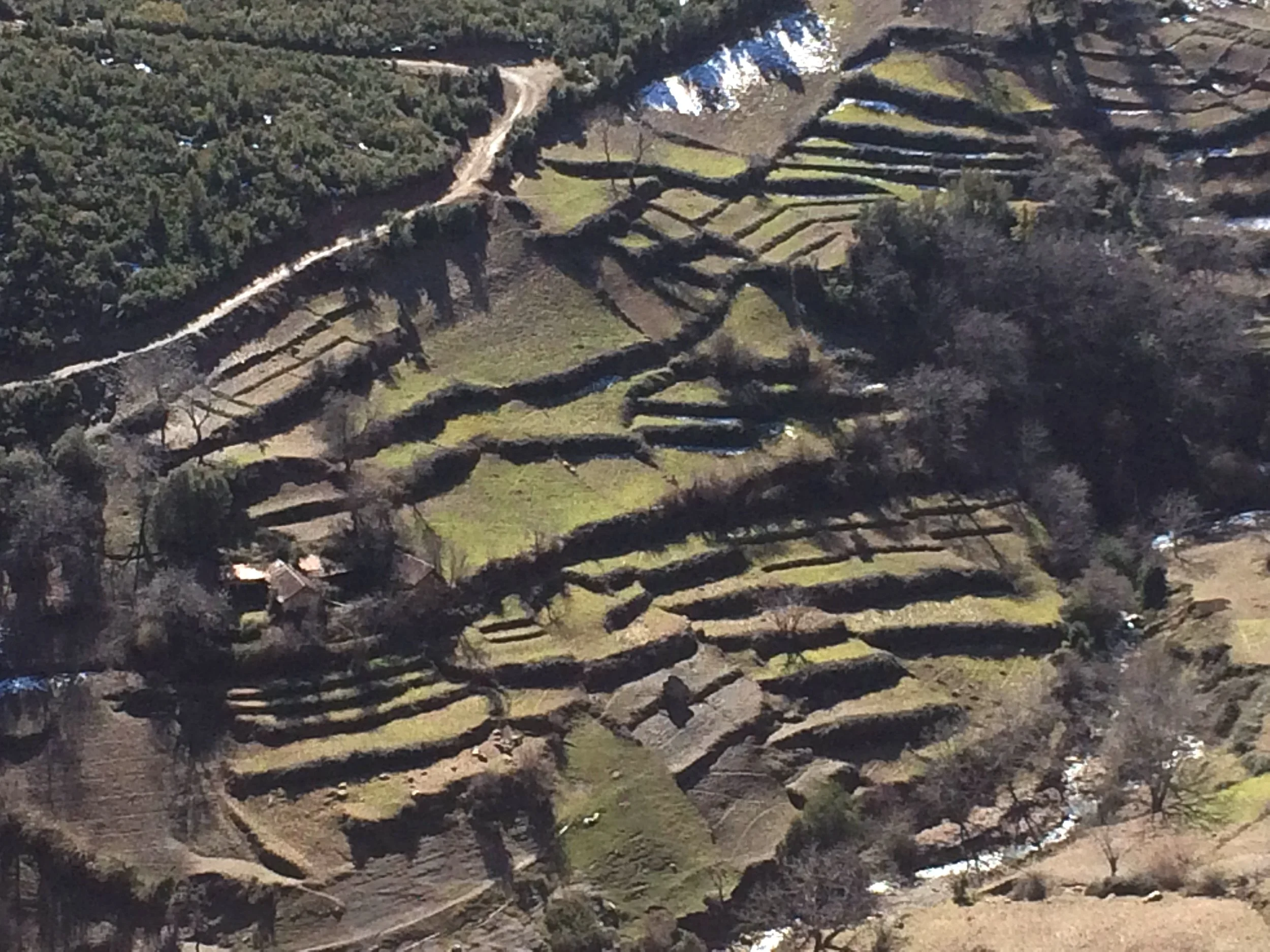 Régimes et statuts fonciers au Maroc