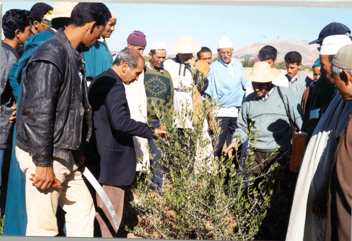 Le conseil agricole au Maroc : Constat d'échecs?