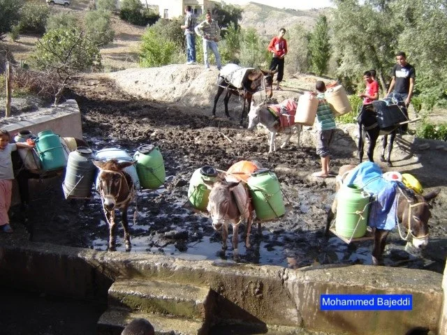Diagnostic climatique : Le Maroc champion, et après?