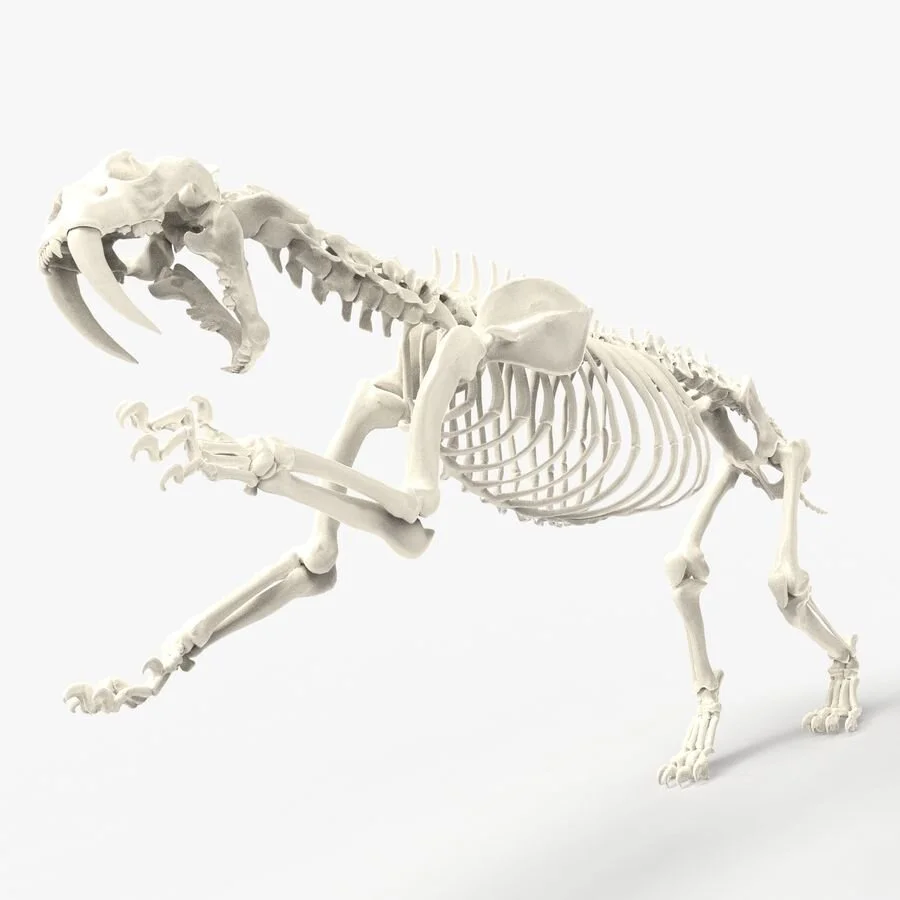 Archeology.jpg