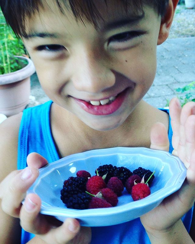 After one boat ride to Tahiti one plane ride to Los Angeles one plane ride to Paris one train ride to Aix en Provence and one drive ride to Gap my hometown in the French Alps we are finally able to pick up summer fruits in grandpa's garden!! That was