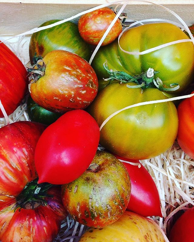 I am in love with those organic tomatoes 🍅 France in summer offer the best at the farmers markets #tomatoes #inlove #salad #summertreats