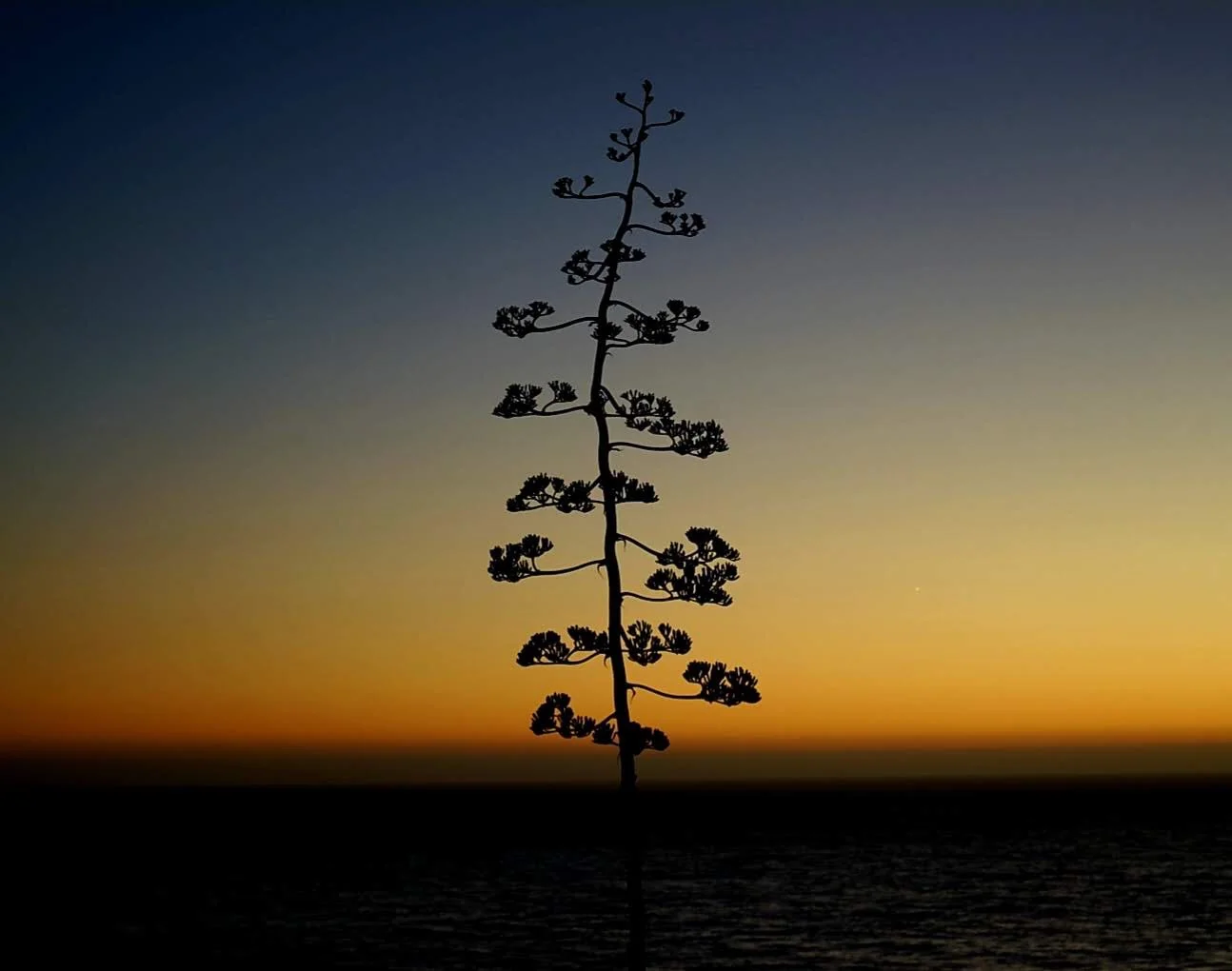 Photo: Bridget Ahern