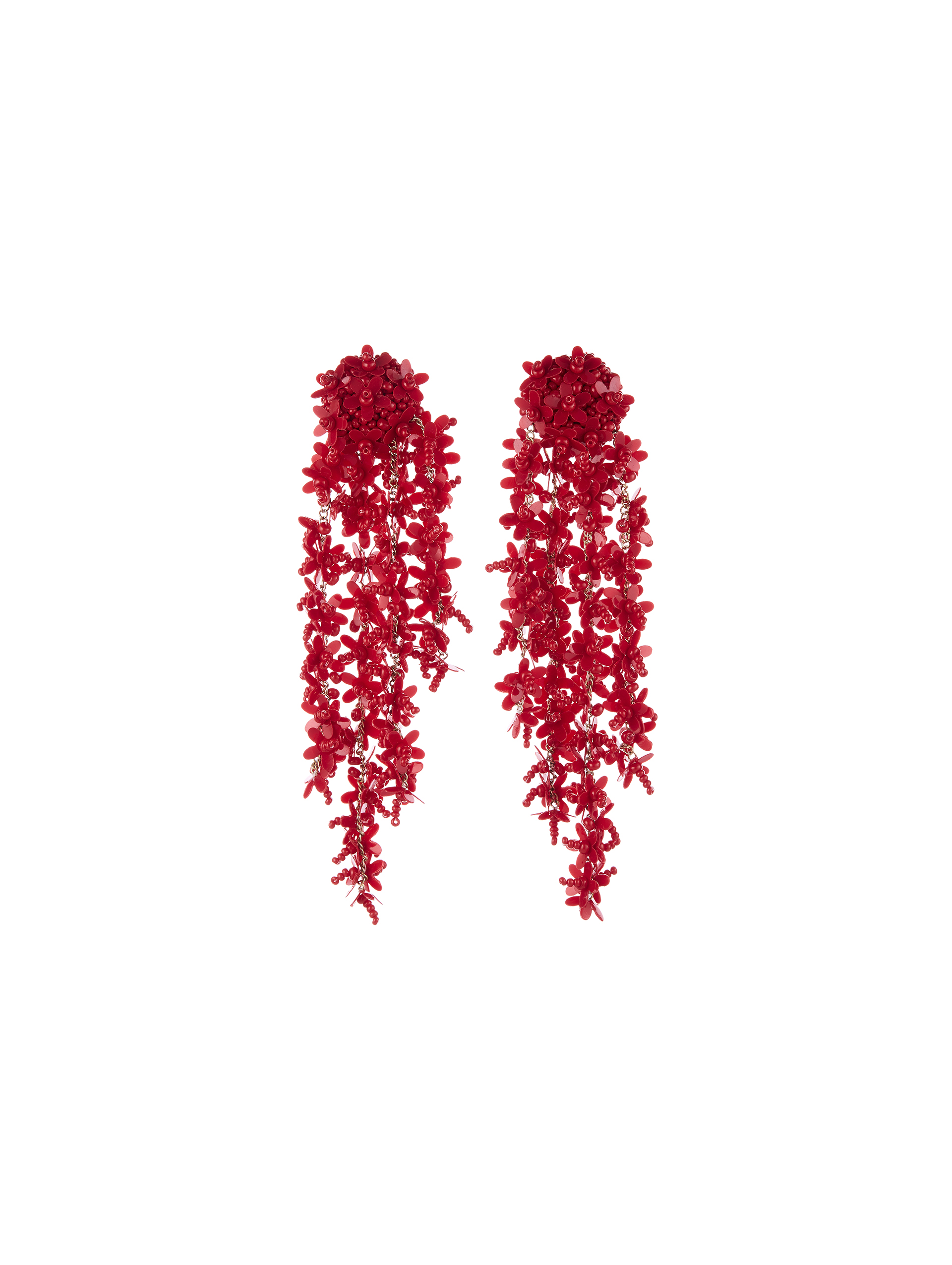 P19J150_CRANBERRY.jpg