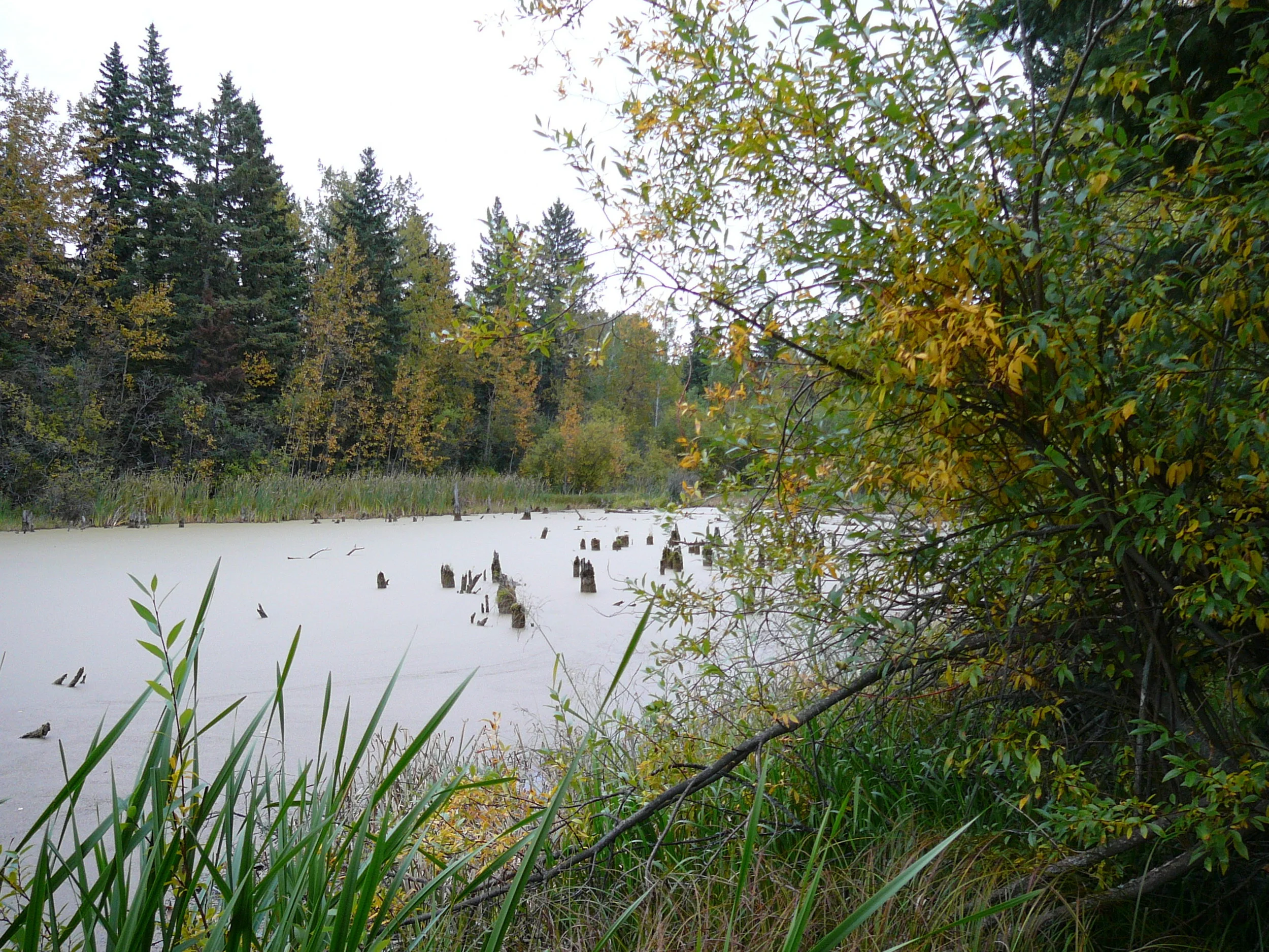 Lake Slou-ise in the autumn.jpg