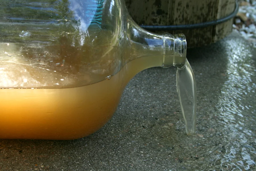 Let Them Drink Pollution?
