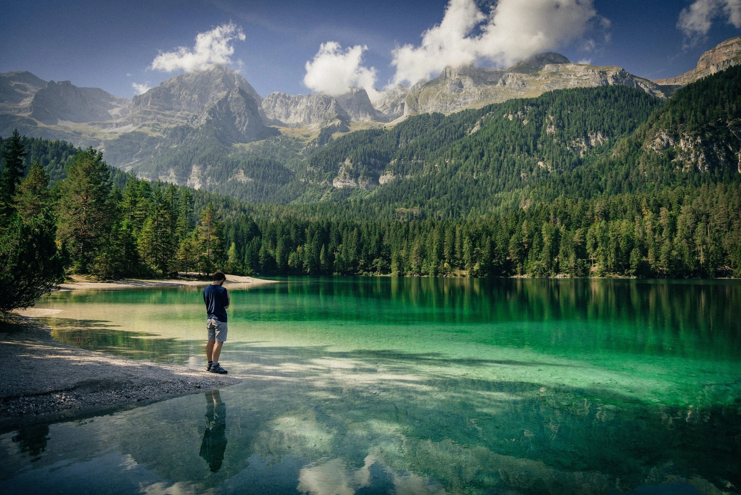 The Environment as Our Common Heritage