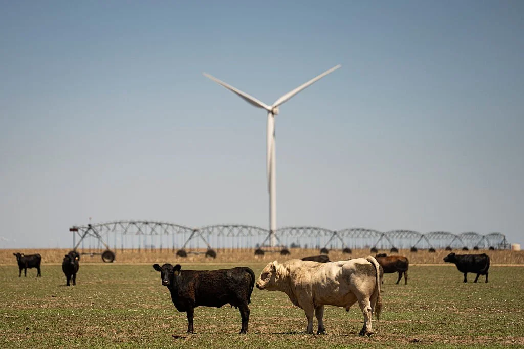 Forget Climate Doomerism