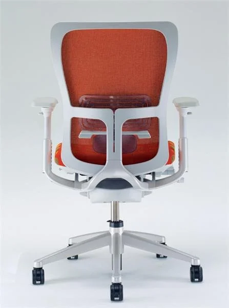 zody-lumbar-support.jpg