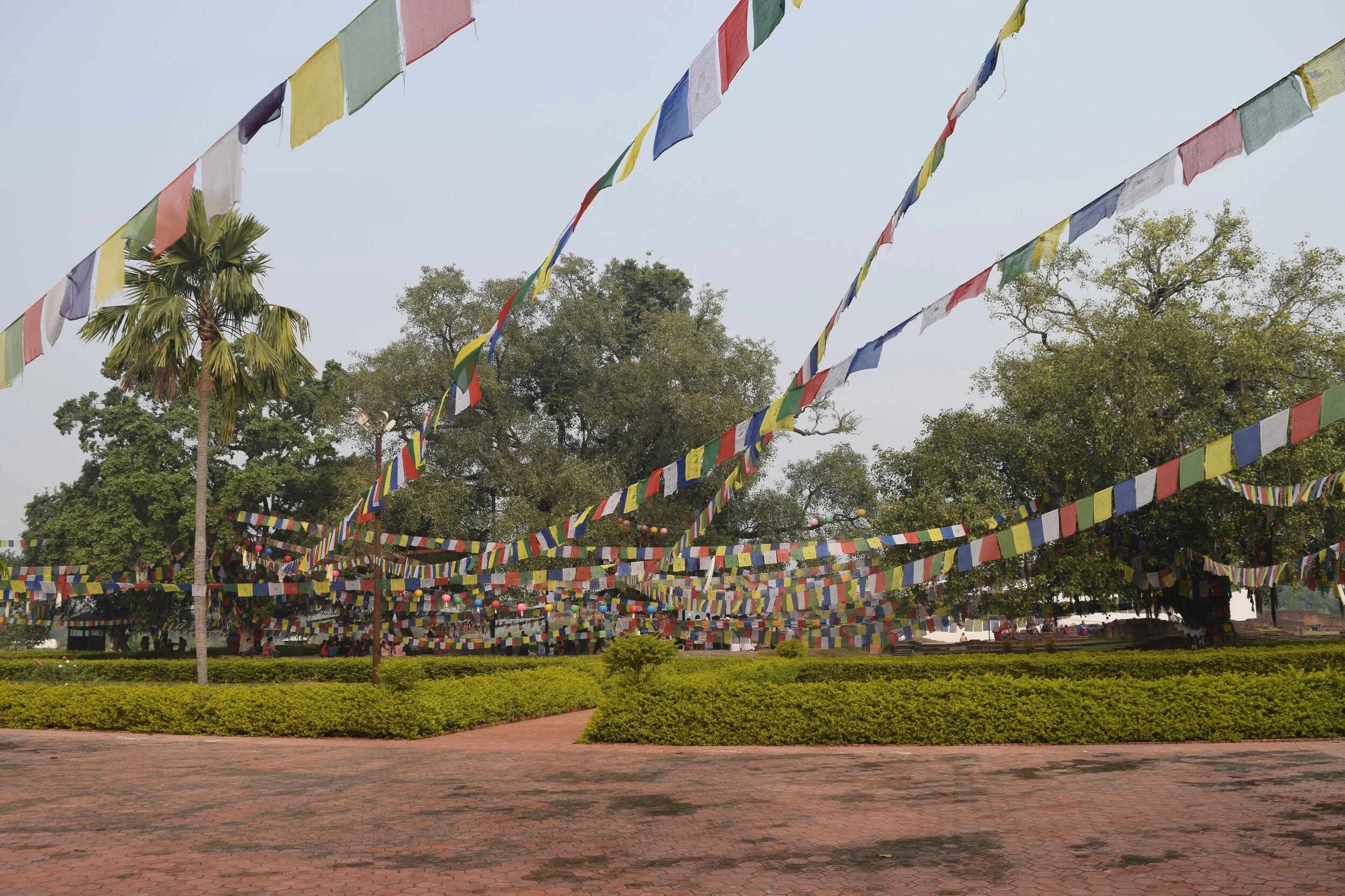 DSC_0078.jpg