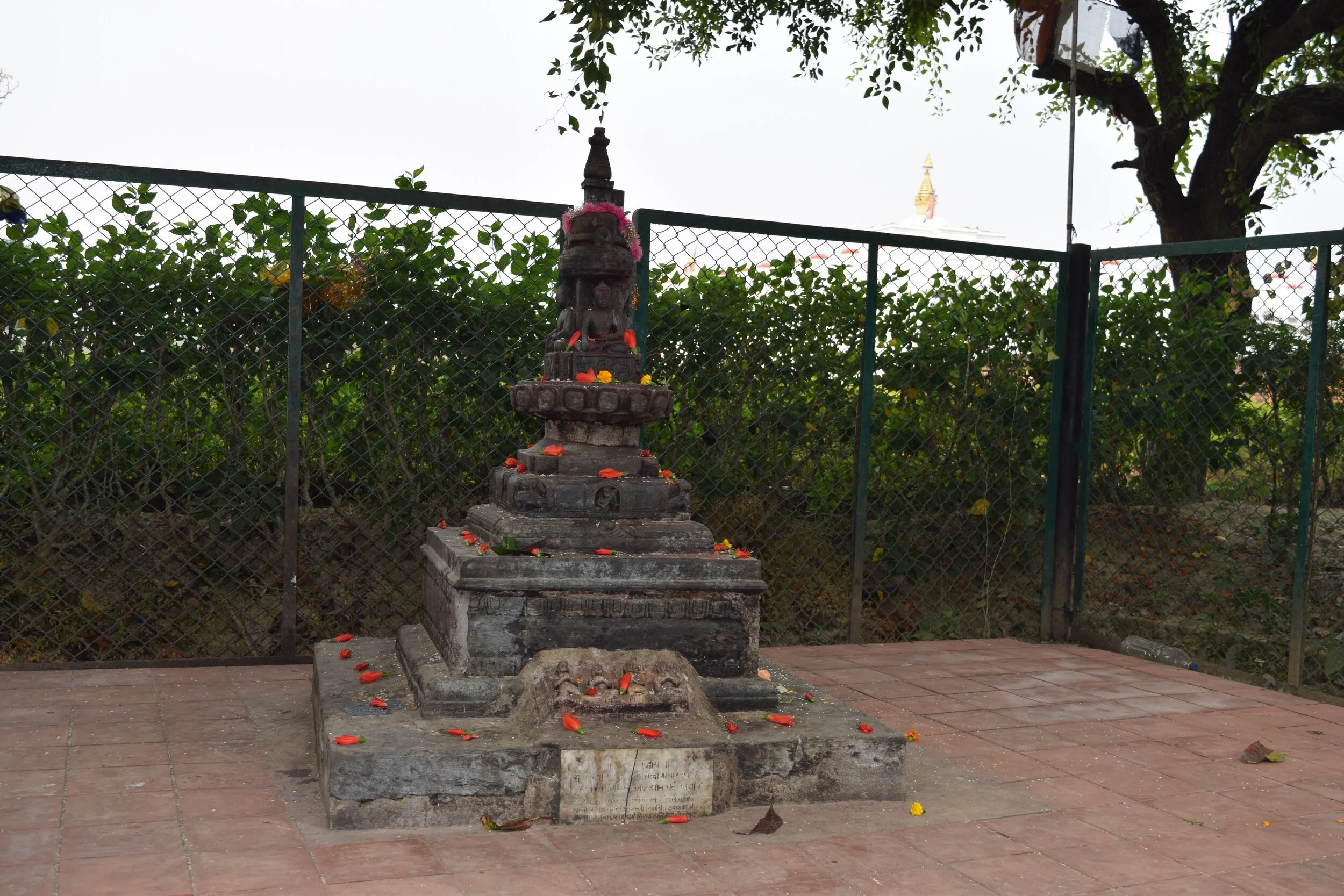 DSC_0109.jpg