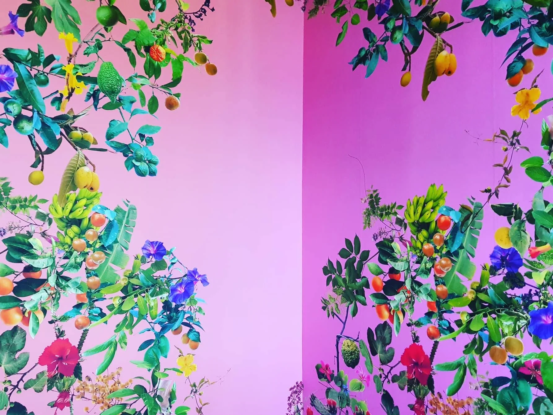 Theater of the Sun, Fallen Fruit, David Allen Burns and Austin Young, at Manifest 12, Palermo, Italy 2018