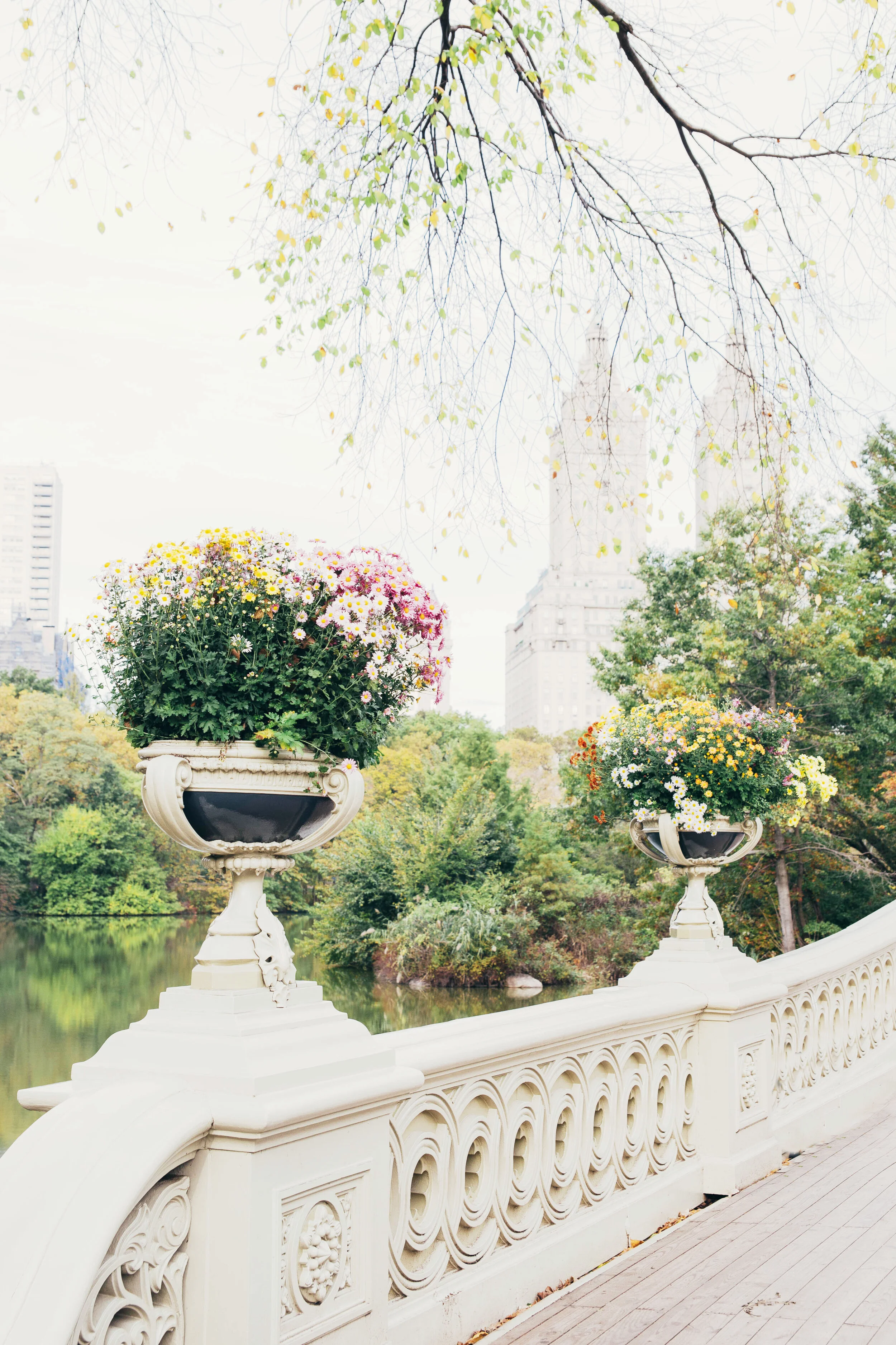 IMG_7566 copy copy.jpg