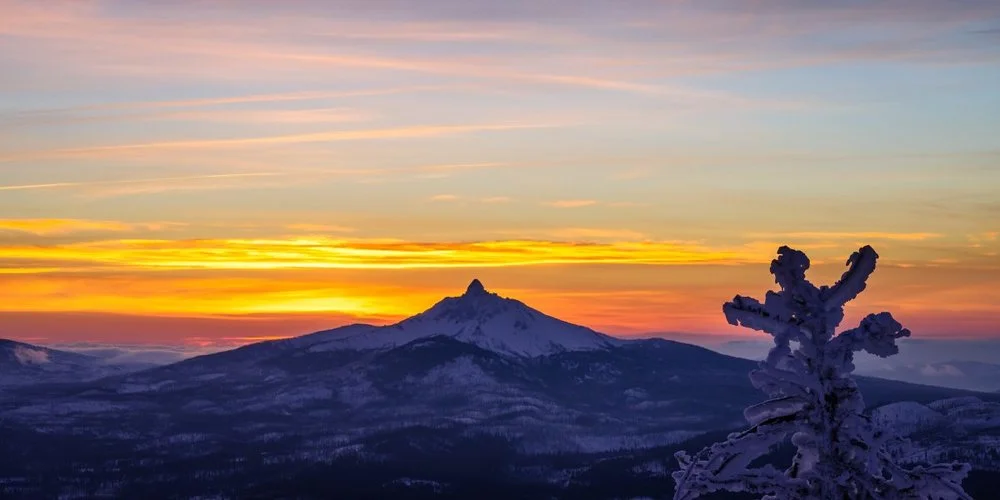 Photo taken by: Mark Lehrboss