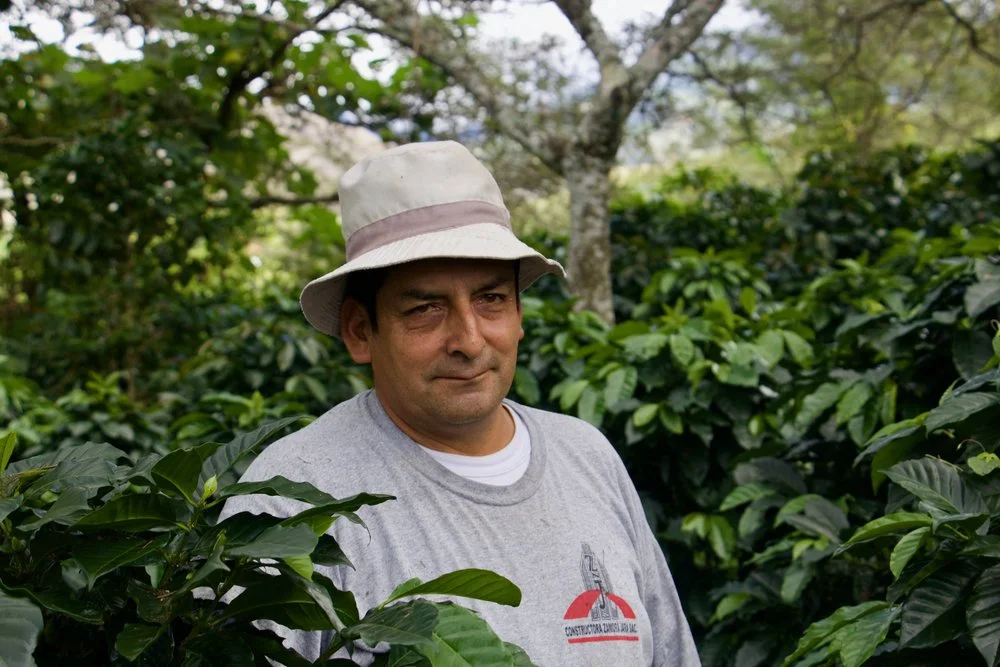 Andres amongst his coffee trees.