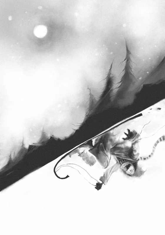 Toboggan 01.jpg