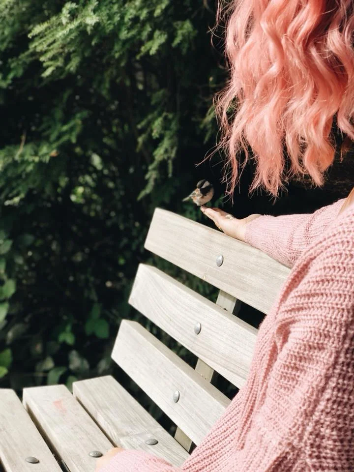22007416_10212765960897850_5367120021416449278_n.jpg