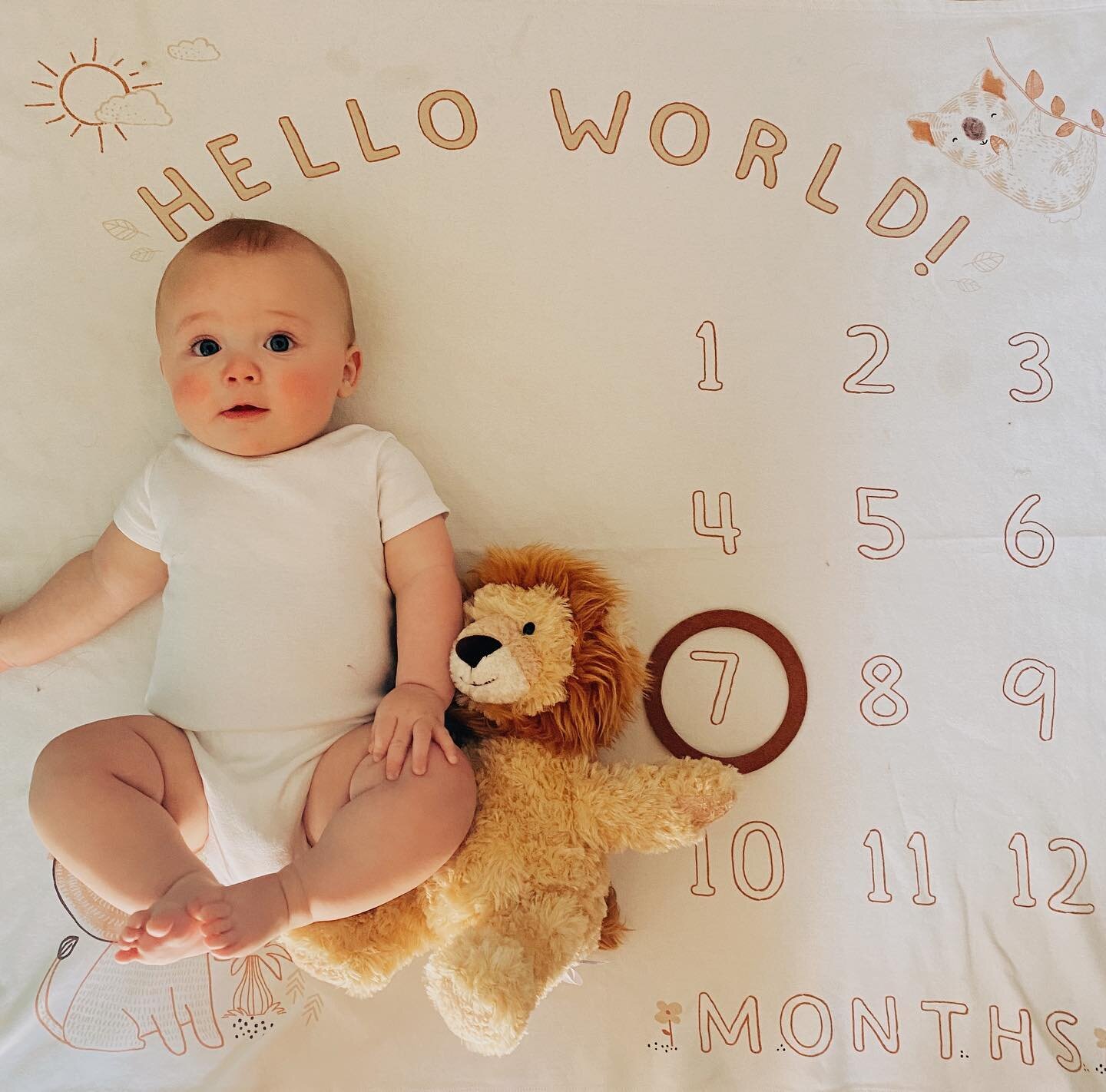 Our boy is 7 months old!! Gosh does time fly 🥺 He looks like a little man. 

Henri this past month has discovered his tongue exists lol, he&rsquo;s tasted all kinds of food, and learned how to inch forward! He is SO close to crawling. 

He&rsquo;s d
