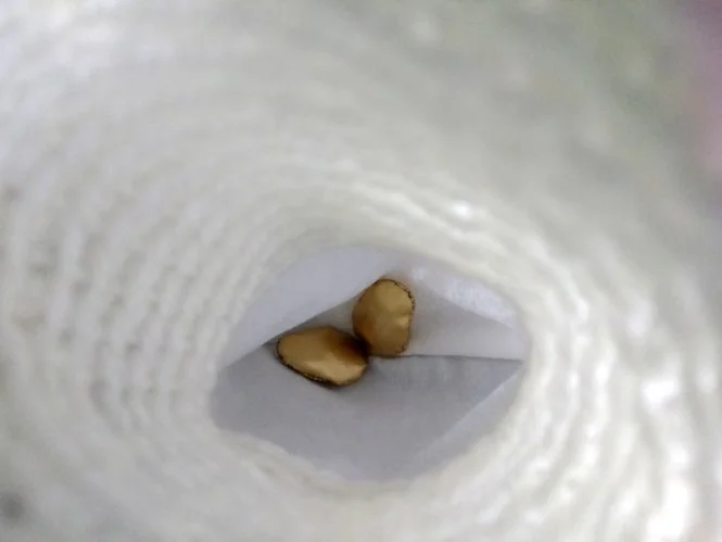 House Hands: Precious Hopes (Interior)