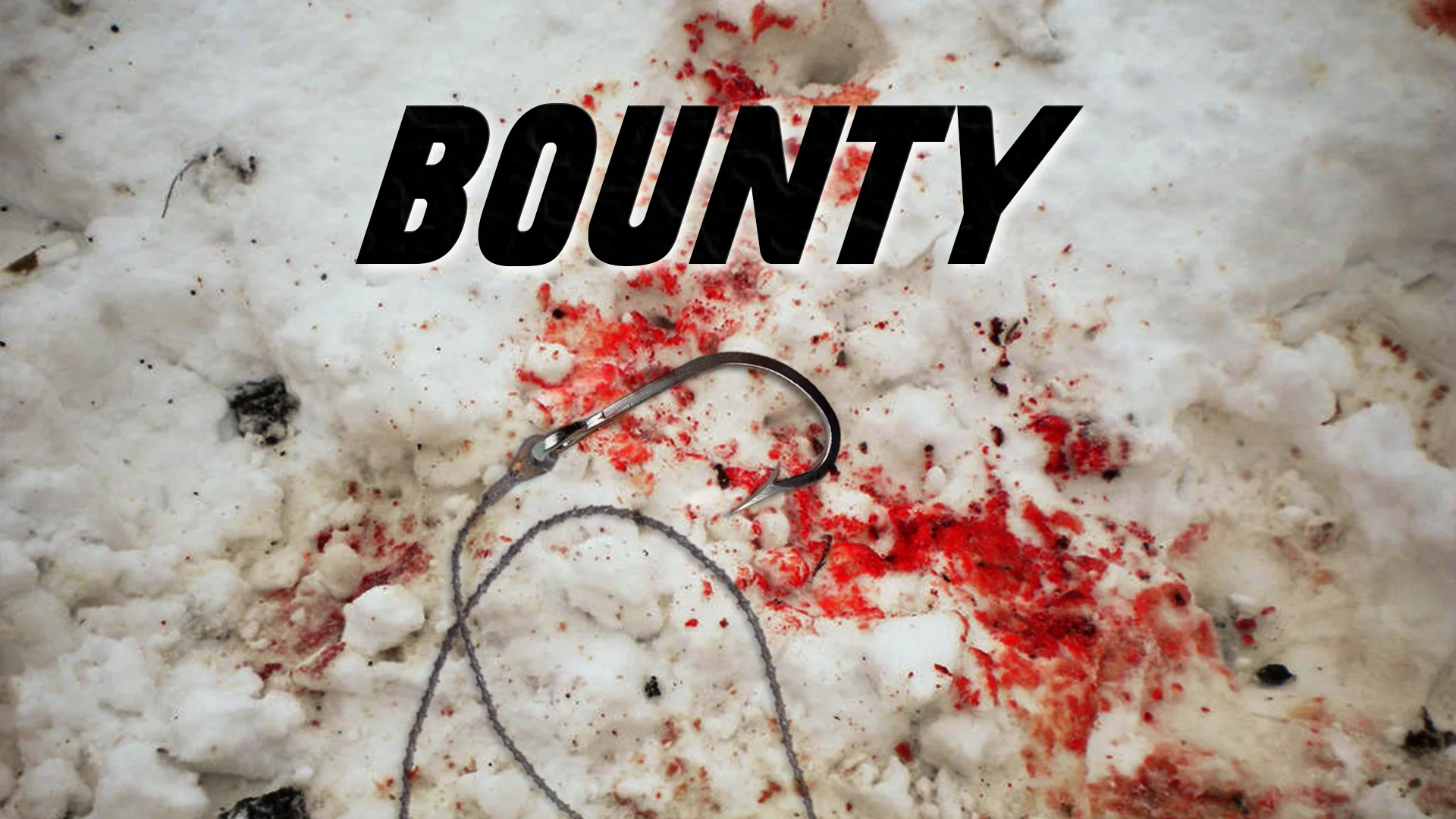 Bounty B.jpg