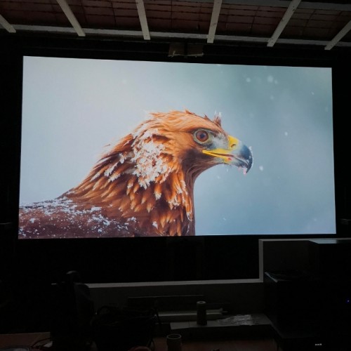 image-projected-on-high-gain-projector-screen-paint-using-smart-projector-paint-pro.jpg