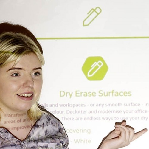 Smart Projector Paint (non dry erase) — Enscribe