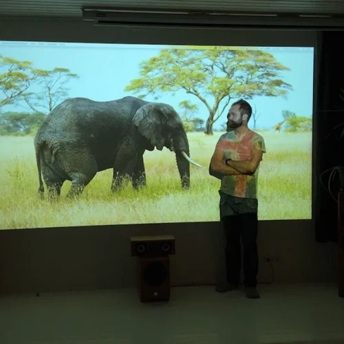 image-of-elephant-projected-on-office-walls.jpg