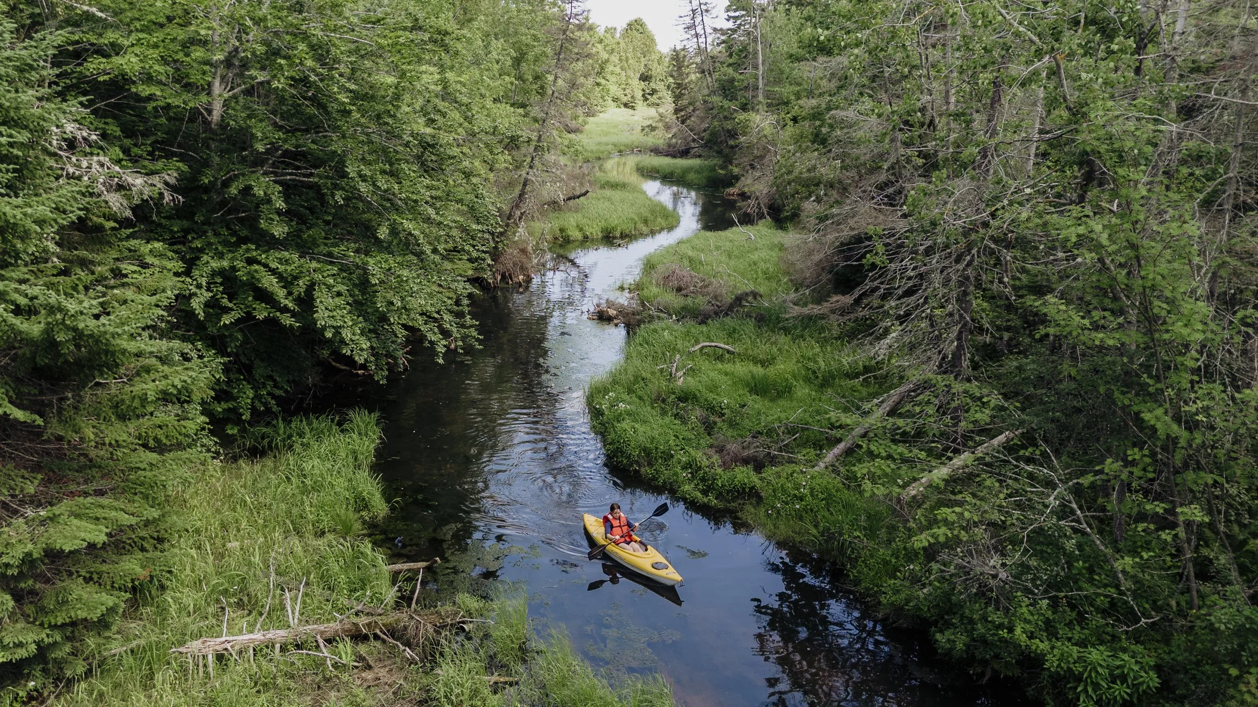 dji_fly_20240710_105304_0024_1720624625267_photo (1).jpg